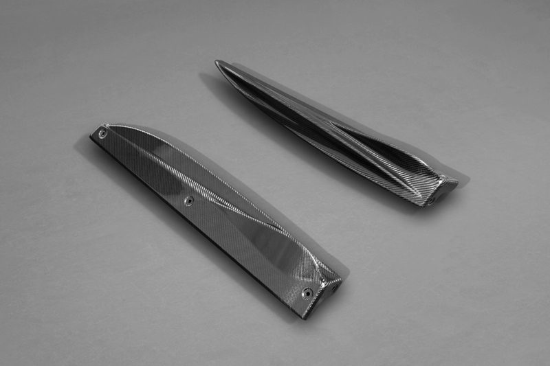 Audi RS4 (B9/8W) - Carbon Fiber Side Fins