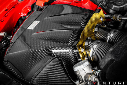 Audi C7 RS6 / RS7 Black Carbon Intake System